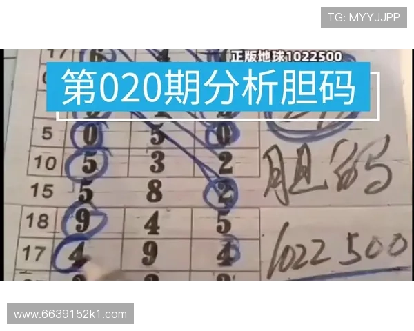 福彩17101期最新开奖结果查询与号码分析